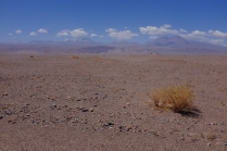Nos premiers pas dans le "Salar de Atacama", le désert de sel.